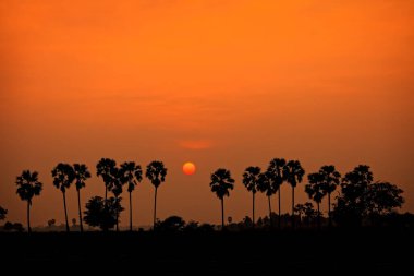 Tropikal alanda gün batımında renkli gökyüzü