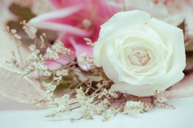 Taze gülün eski tarz yakın plan çekimi.