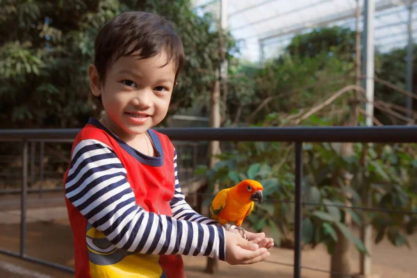 Kleiner Asiatischer Junge Spielt Mit Vogel Zoo — Stockfoto