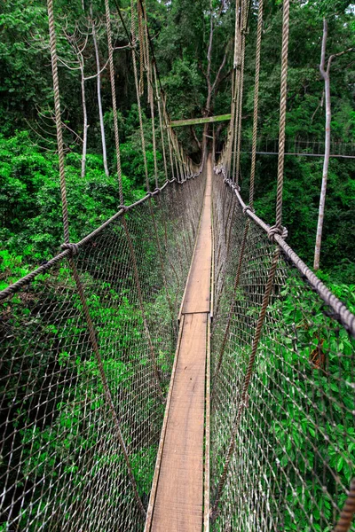 Passarela Corda Parque Nacional Kakum Gana — Fotografia de Stock