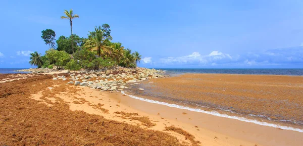 Praia Bonita Colorida Gana África Ocidental — Fotografia de Stock