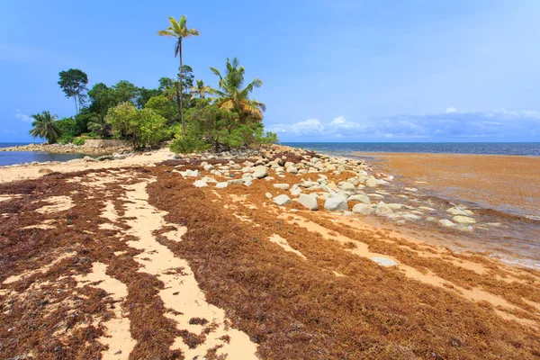 Gana Batı Afrika Güzel Renkli Bir Plaj — Stok fotoğraf