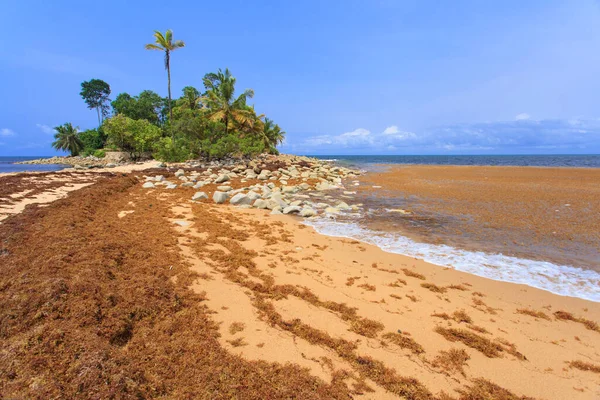 Praia Bonita Colorida Gana África Ocidental — Fotografia de Stock