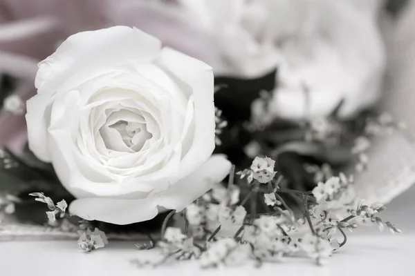 Gros Plan Noir Blanc Rose Fraîche — Photo