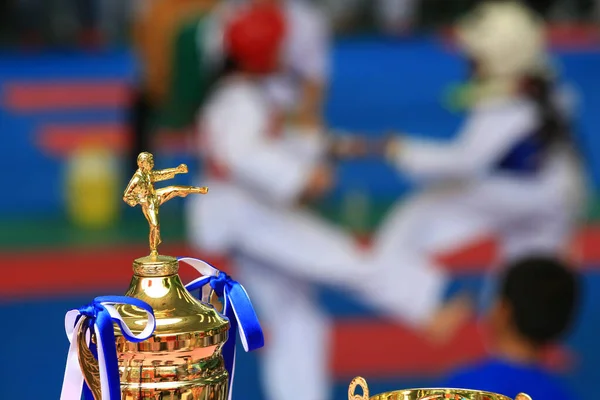 Trofee Voor Taekwondo Wedstrijd Atleten Vechten Achtergrond — Stockfoto