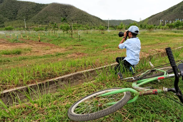 Joven Asiático Chico Tomando Foto Verde Fruta Jardín —  Fotos de Stock