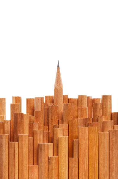 Group Pencils One Sharp — Stock Photo, Image