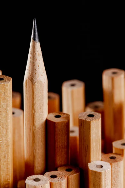 Group Pencils One Sharp — Stock Photo, Image