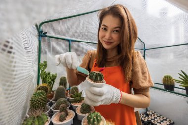 Önlük giyen kadın ev bahçesinde rahat bir hobi ediniyor. Küçük kaktüs sürüsüne taş taneleri ekleyip kameraya bakarak küçük serada çalışıyor..