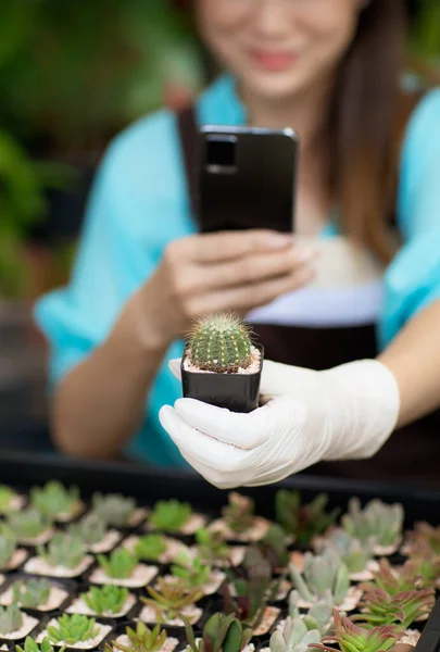 Femelle Agronome Porte Tablier Utilisant Smartphone Prendre Des Photos Petits — Photo