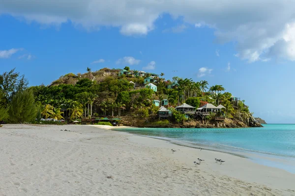 Antigua île dans les Caraïbes — Photo