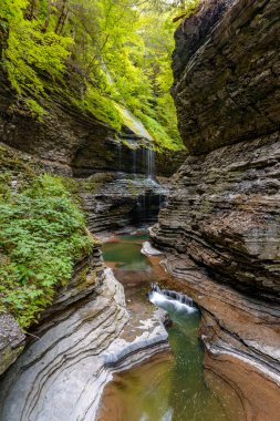 Watkins Glen devlet