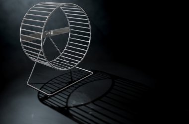 Hamster tekerlek boş