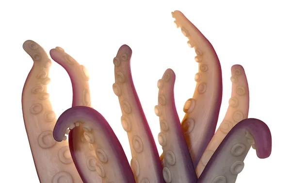 Monster tentakler isolerade — Stockfoto
