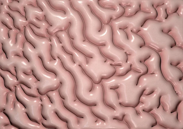 Brain Tissue — Stock Photo, Image