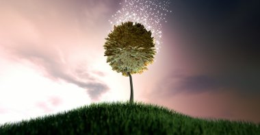 Büyülü Rand para ağacı