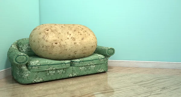 Soffpotatis på gamla soffa — Stockfoto