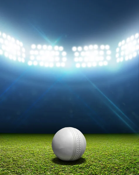 Kriketový stadion a míček — Stock fotografie