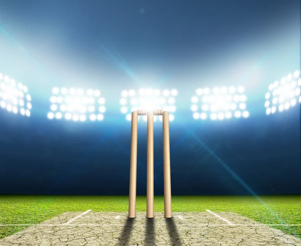 Cricket Stadium En Wickets — Stockfoto