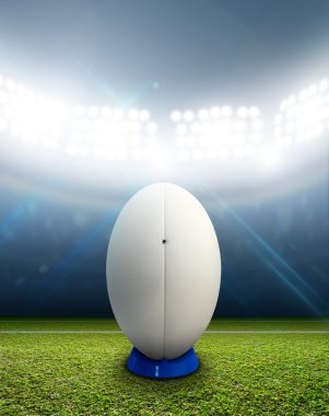 Rugby stadyum ve topu