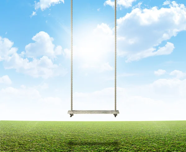 Rope Swing op groen veld — Stockfoto