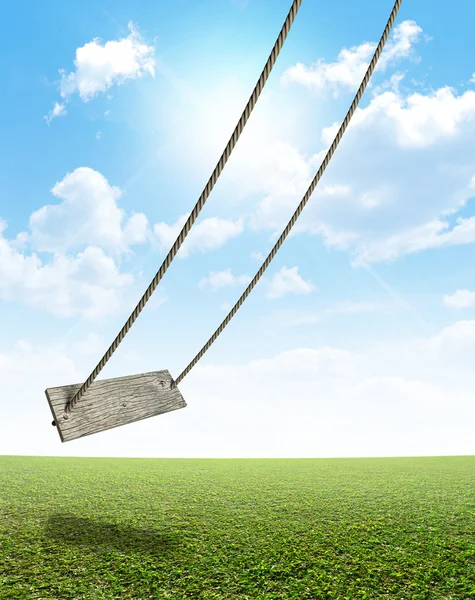 Rope Swing On Green Field — Stock Photo, Image