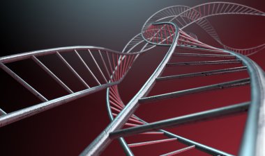 Spiral genetik ayrılmaktadır