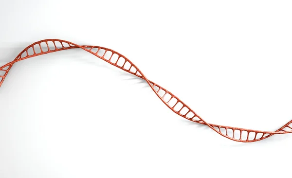 DNA strand micro — Stockfoto