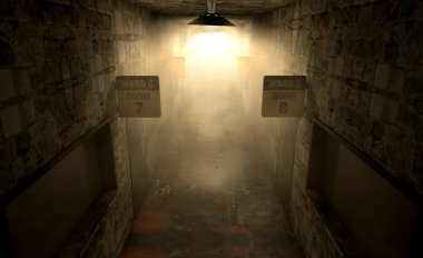 Akıl Hastanesi perili