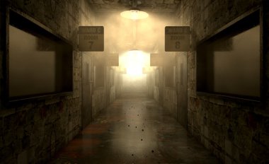 Akıl Hastanesi perili