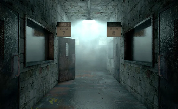 Akıl Hastanesi perili