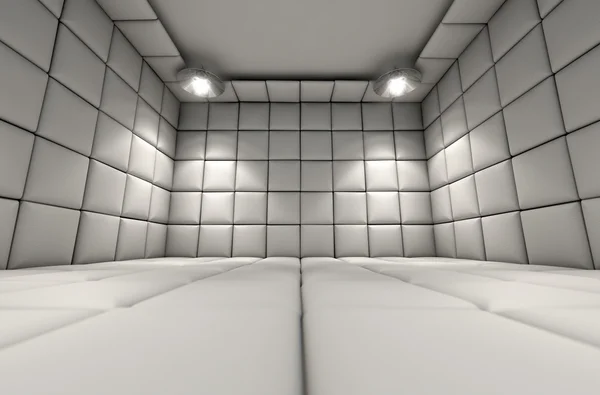 A Padded Cell — Stock Photo, Image