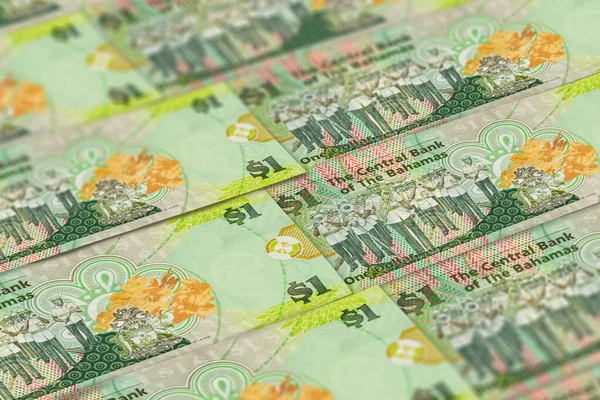 Bahamian Dollars Banknotes Background Bsd Dollars Pattern Bsd — Stock Photo, Image