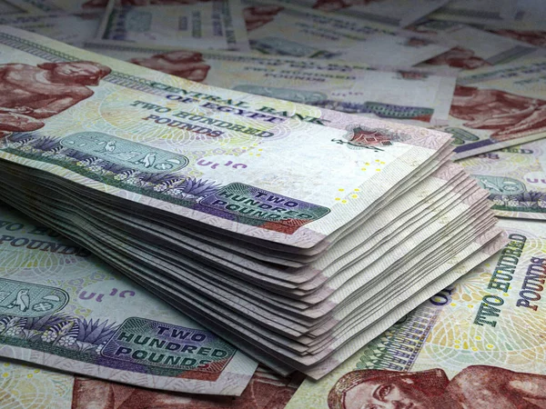 Money Egypt Egyptian Pound Bills Egp Banknotes 200 Pounds Business — Stock Photo, Image