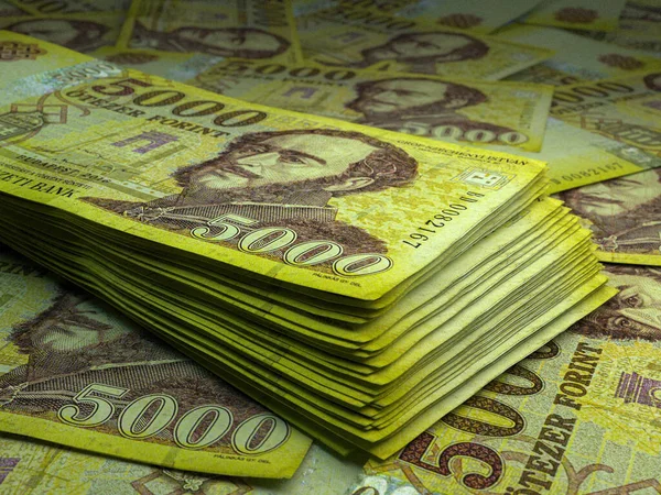 Geld Van Hongarije Hongaarse Forint Biljetten Huf Bankbiljetten 5000 Forintok — Stockfoto