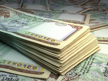 Nepal 'in parası. Nepal Rupisi. NPR banknotları. 10 Rs. İş, finans, haber geçmişi.