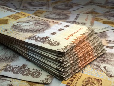 Tanzanya 'nın parası. Tanzanya şilin banknotları. TZS banknotları. 2000 şilin. İş, finans, haber geçmişi.