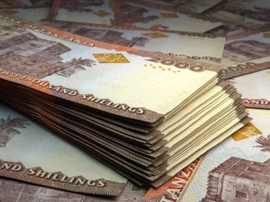 Tanzanya 'nın parası. Tanzanya şilin banknotları. TZS banknotları. 2000 şilin. İş, finans, haber geçmişi.