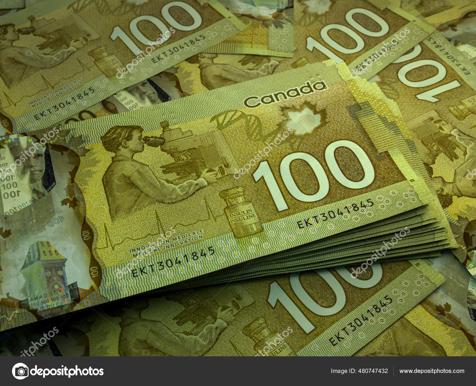 new canadian 100 dollar bill