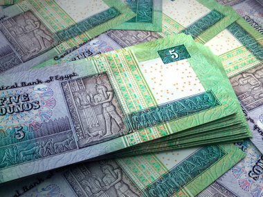 Mısır 'ın parası. Mısır sterlini banknotları. EGP banknotları. 5 sterlin. İş, finans, haber geçmişi.