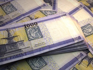 Macaristan 'ın parası. Macar forint faturaları. HUF banknotları. 1000 intok. İş, finans, haber geçmişi.