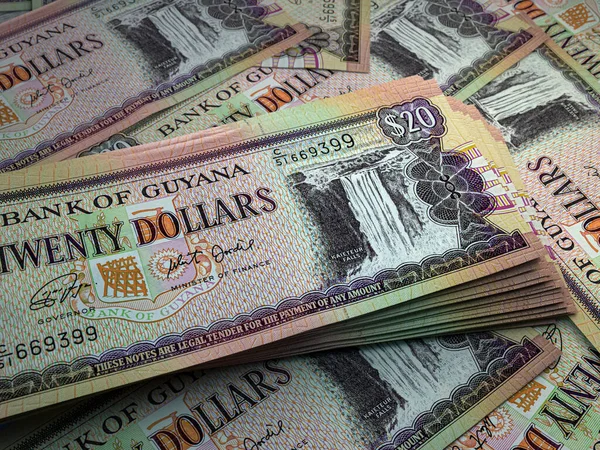 Dinero Guyana Billetes Dólar Guyanés Billetes Gyd Dólares Negocios Finanzas — Foto de Stock