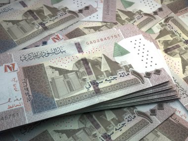 Sudan 'ın parası. Sudan sterlinli banknotlar. SDG banknotları. 45 kilo. İş, finans, haber geçmişi.
