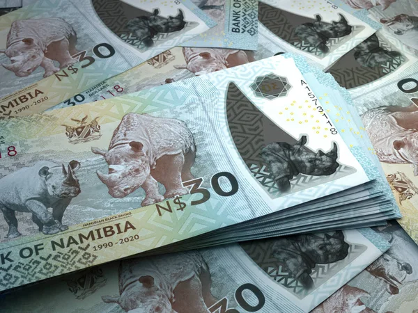 Dinero Namibia Billetes Dólar Namibio Billetes Nad Dólares Negocios Finanzas — Foto de Stock