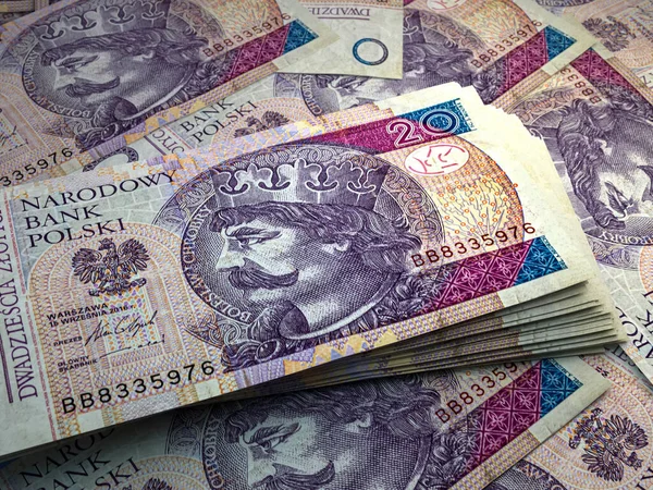 Деньги Польши Польские Злотые Купюры Банкноты Pln Злотых Бизнес Финансы — стоковое фото