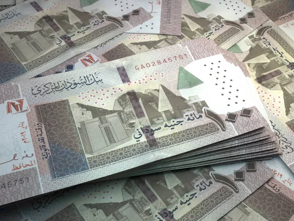 Λεφτά Του Σουδάν Σουδανικά Χαρτονομίσματα Λίρας Τραπεζογραμμάτια Sdg 100 Λίρες — Φωτογραφία Αρχείου