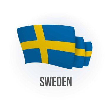 İsveç 'in vekil bayrağı. Norveç bayrağı sallıyor. Vektör illüstrasyonu.
