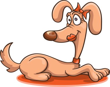 Bayan köpek turuncu halı üzerinde