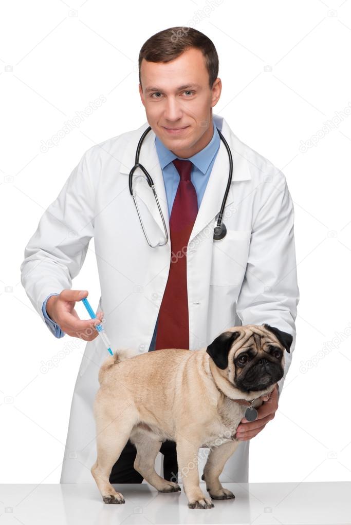 pug veterinarian near me