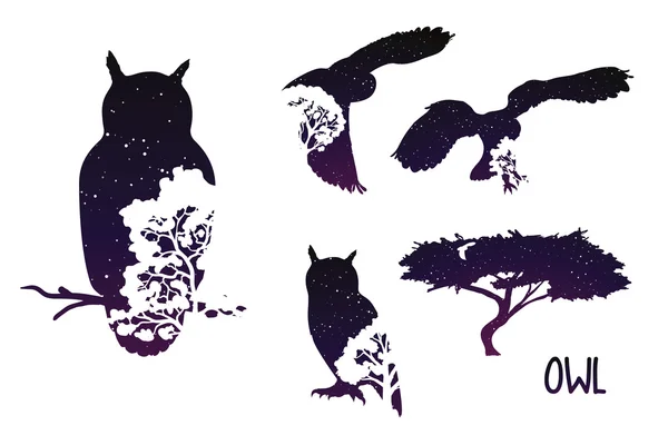 Silhouette hibou avec ciel nocturne et arbres. Illustration vectorielle avec double exposition . — Image vectorielle